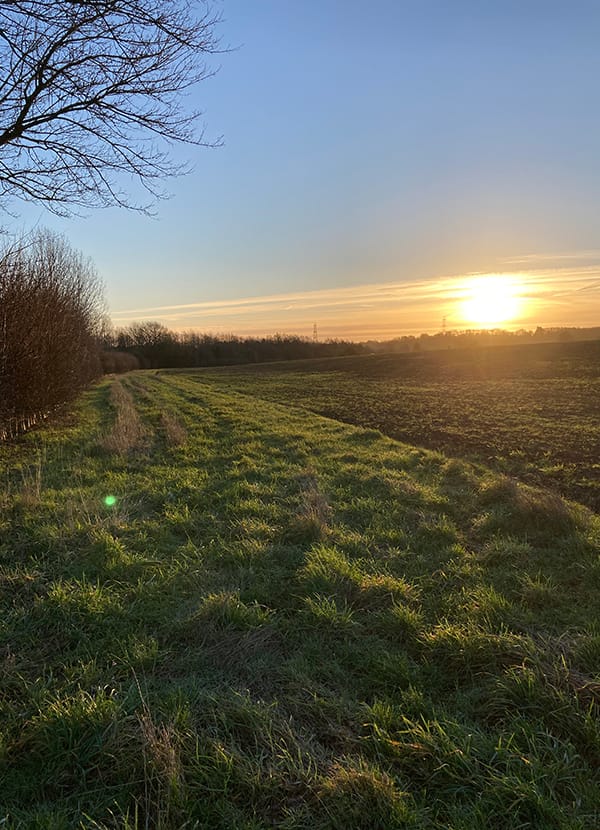footpath