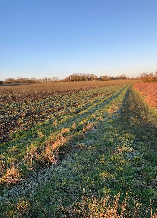 footpath
